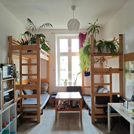 Evergreen Hostel Krasków Eksteriør bilde