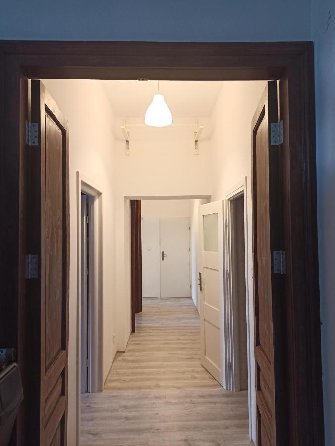 Evergreen Hostel Krasków Eksteriør bilde