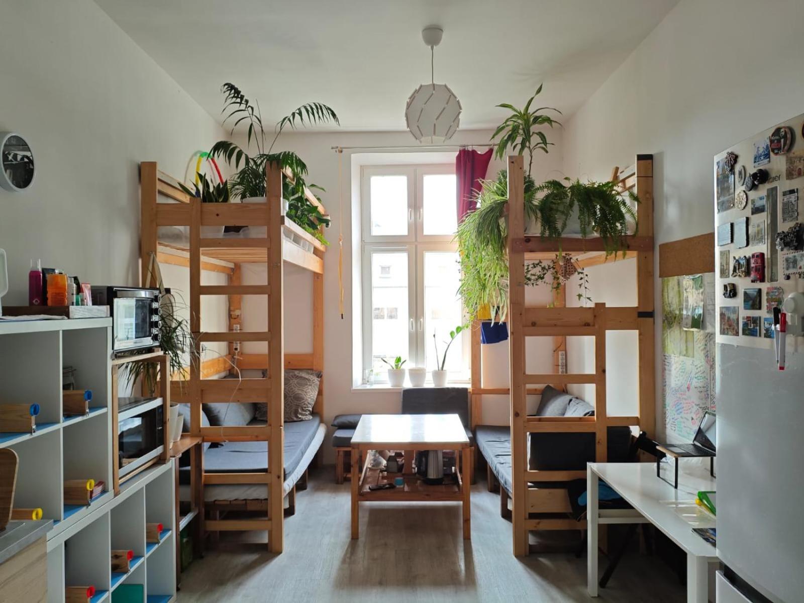 Evergreen Hostel Krasków Eksteriør bilde