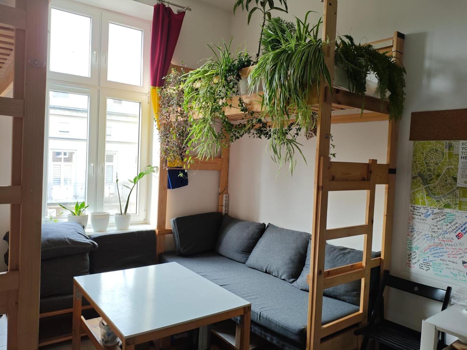 Evergreen Hostel Krasków Eksteriør bilde